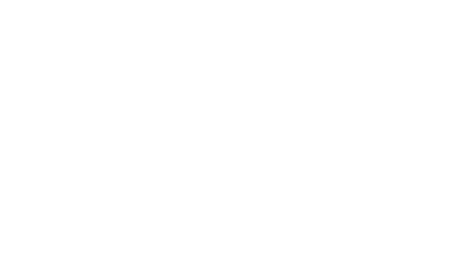 CS4art